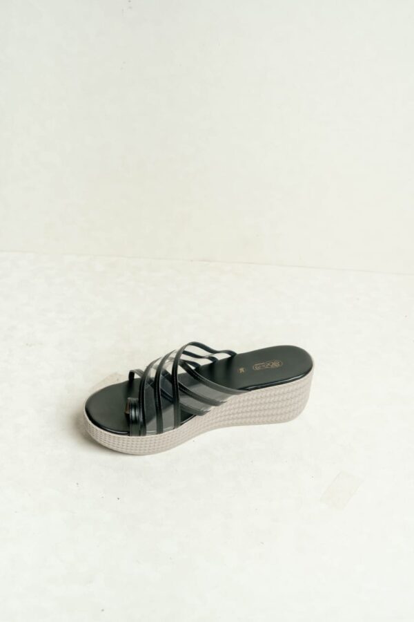 WN 1001 - Image 3