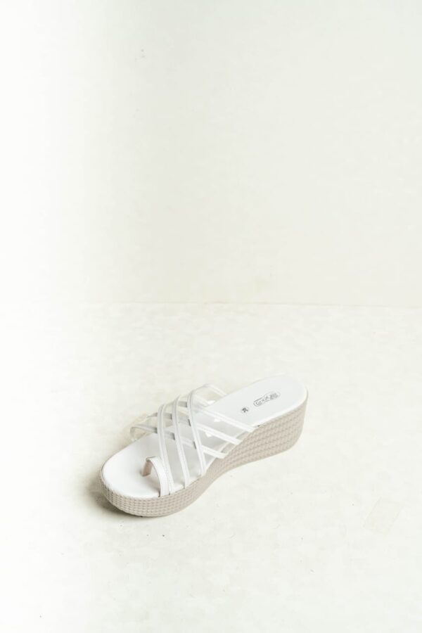 WN 1001 - Image 2